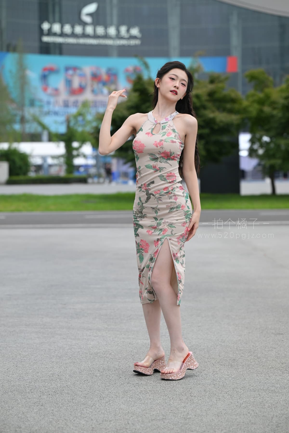 DSC_9963.JPG