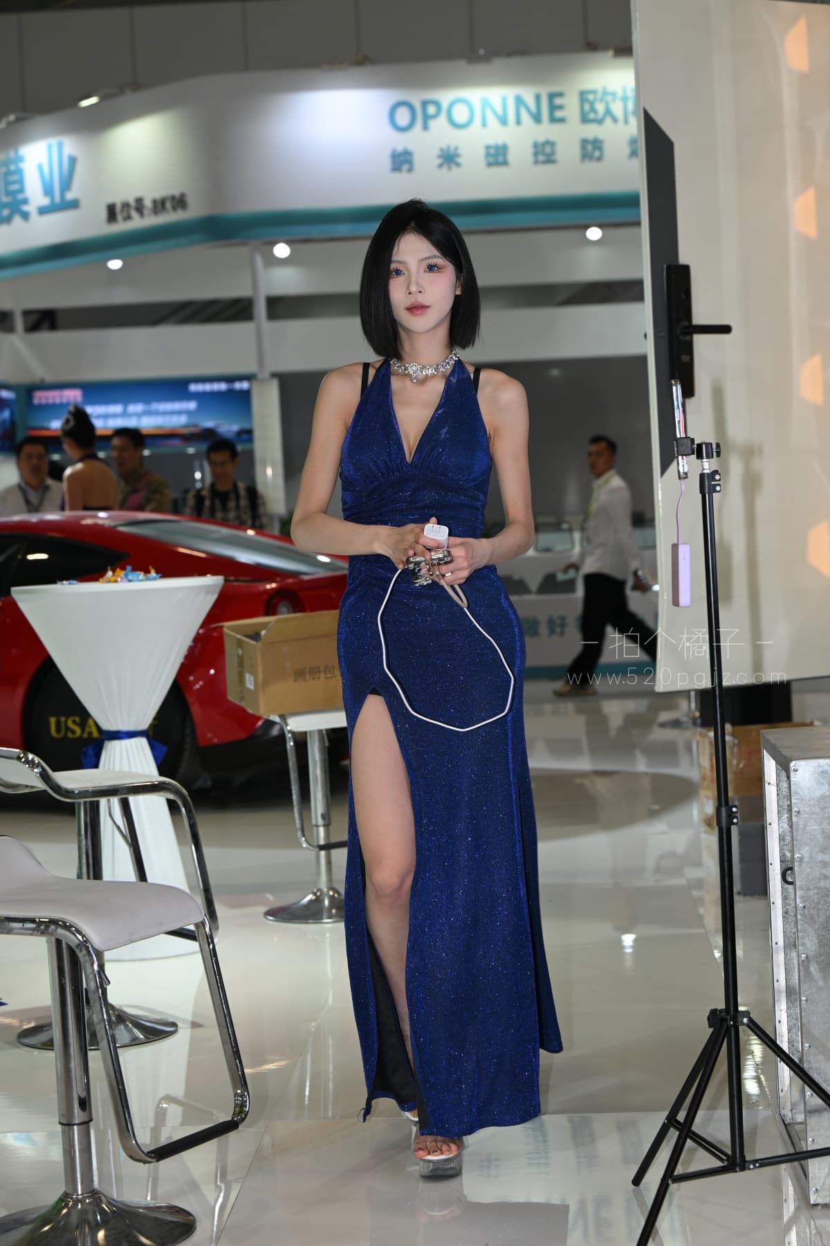 DSC_8563.JPG