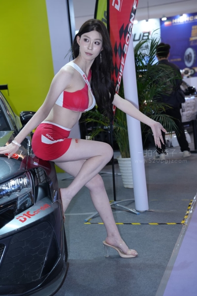 J932 S级车模-数羊