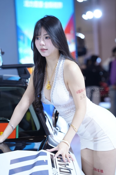 J819 车模意意